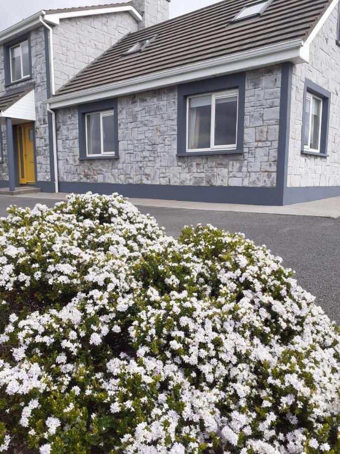 Sunny Hill View Daire Lahinch Dış mekan fotoğraf
